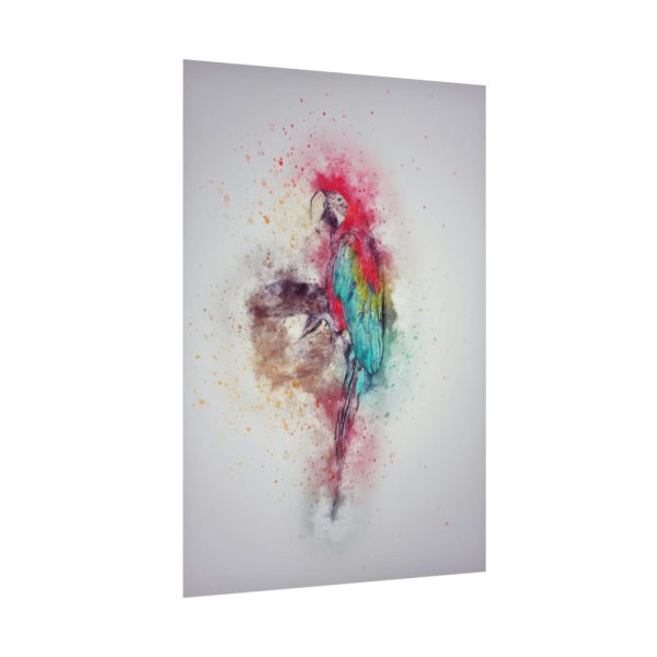 92411-297.jpg Parrot and Colors Poster