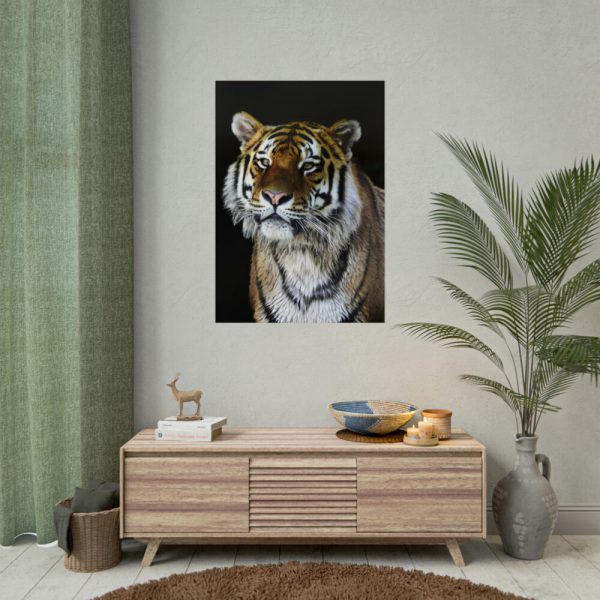 92411-73.jpg Cute Siberian Tiger Poster