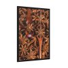 93830-125.jpg Anise Spices Seeds Framed Poster