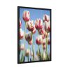 93830-177.jpg Ombre Pink and White Tulips Blooming in the Field Framed Poster