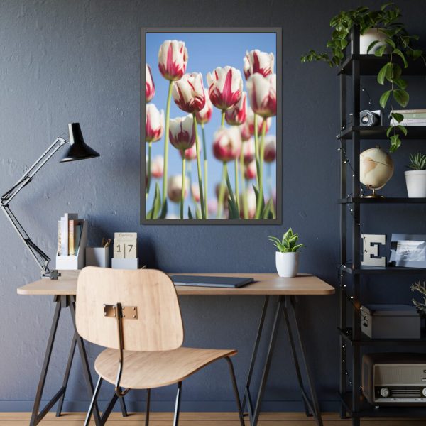 93830-178.jpg Ombre Pink and White Tulips Blooming in the Field Framed Poster