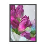 Purple Tulip Framed Poster