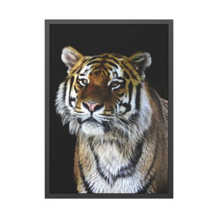 Cute Siberian Tiger Framed Poster