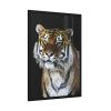93830-57.jpg Cute Siberian Tiger Framed Poster