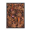 93831-124.jpg Anise Spices Seeds Framed Poster