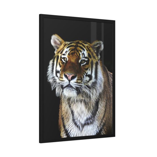 93831-57.jpg Cute Siberian Tiger Framed Poster