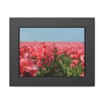 Pink Tulip Field Framed Poster