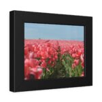 Pink Tulip Field Framed Poster - Image 6