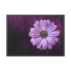 93854-152.jpg Purple Daisy Flower Framed Poster