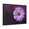 93854-153.jpg Purple Daisy Flower Framed Poster