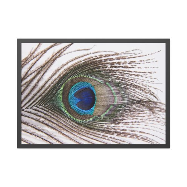 93854-184.jpg Peacock Feather Framed Poster