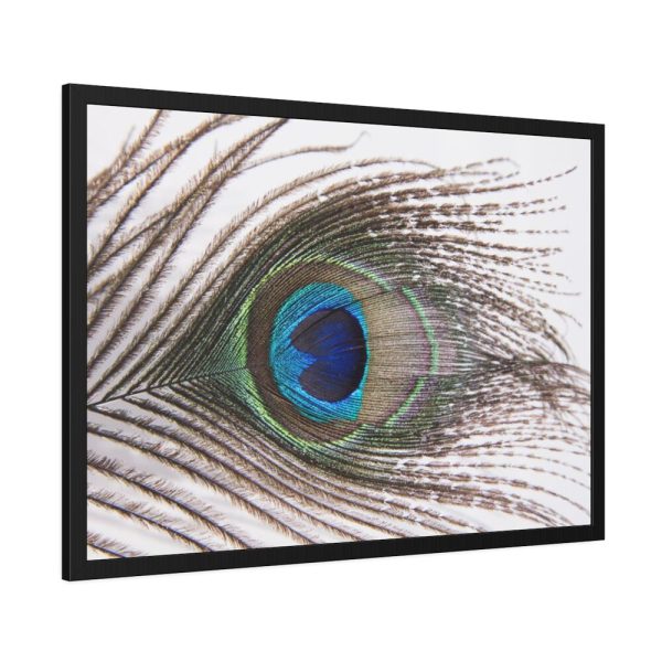 93854-185.jpg Peacock Feather Framed Poster