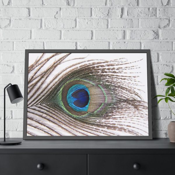93854-187.jpg Peacock Feather Framed Poster