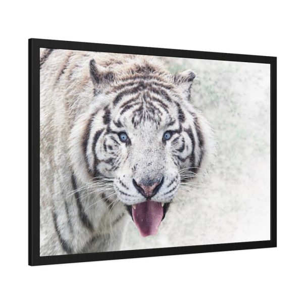 93854-193.jpg White Bengal Tiger Framed Poster