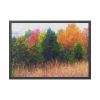 93854-280.jpg Autumn Landscape Framed Poster