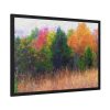 93854-281.jpg Autumn Landscape Framed Poster