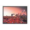 93854-312.jpg Astronauts Approach Viking 2 Framed Poster