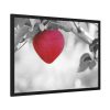 93854-429.jpg Red Apple in the Black and White Framed Poster