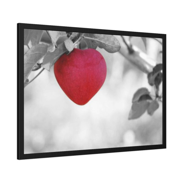 93854-429.jpg Red Apple in the Black and White Framed Poster