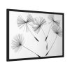 Dandelion Flower Framed Poster