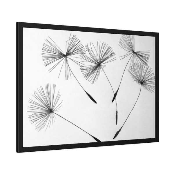 Dandelion Flower Framed Poster