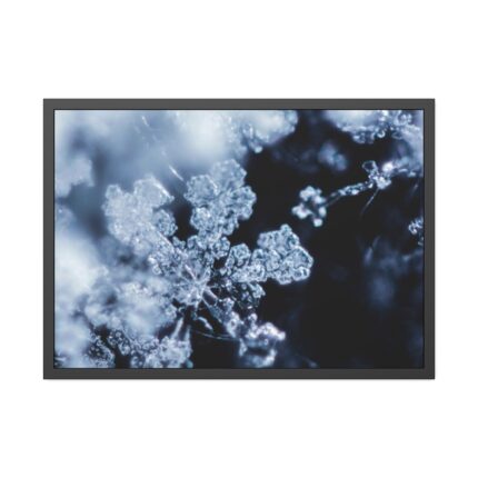 Closeup on Textured Frost Framed Poster