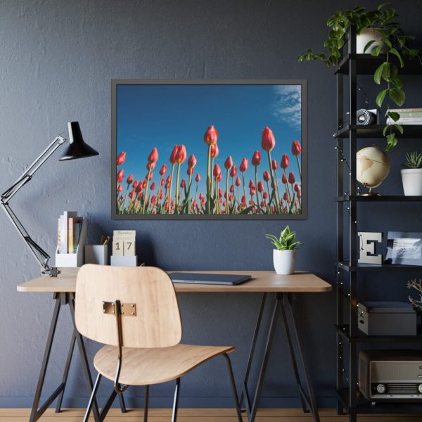 A Low-Angle Shot of a Field of Red Tulips Framed Poster