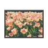 93854-524.jpg A Large Grouping of Light Tulips in Sunlight Framed Poster
