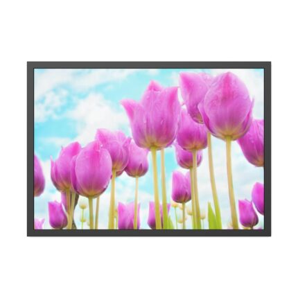 Pink Tulip Framed Poster