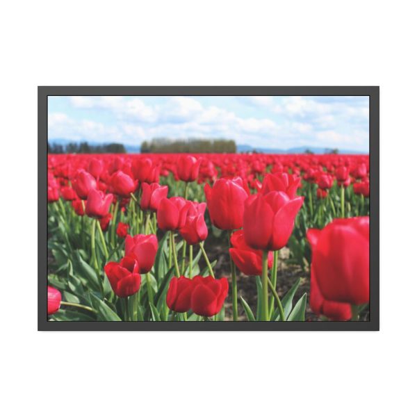 93854-580.jpg Red Tulip Field Framed Poster