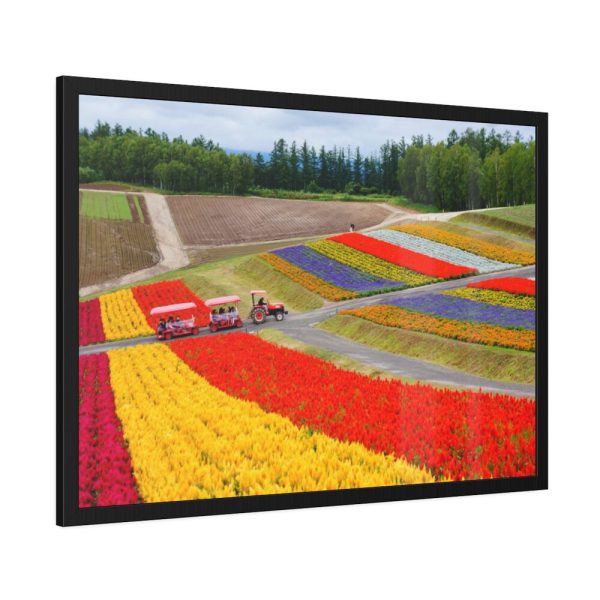 93854-597.jpg Colorful Tulip Field Framed Poster