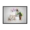 Cat is Lying Down Framed Poster