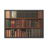93855-104.jpg Antique Books in a Library Framed Poster