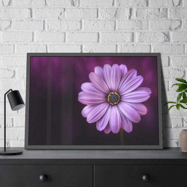 93855-155.jpg Purple Daisy Flower Framed Poster