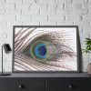 93855-187.jpg Peacock Feather Framed Poster