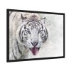 93855-193.jpg White Bengal Tiger Framed Poster