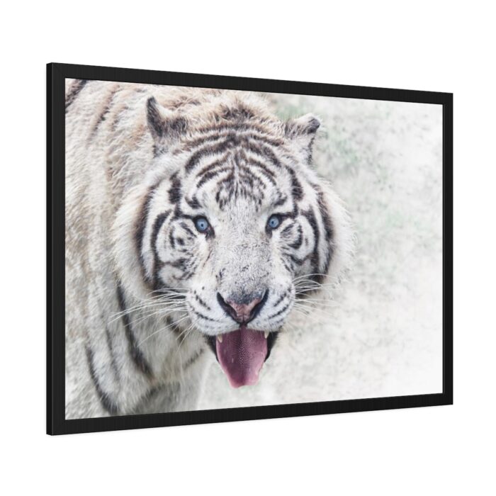 White Bengal Tiger Framed Poster - Image 6