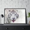 93855-195.jpg White Bengal Tiger Framed Poster