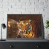93855-199.jpg Tiger Roaring Framed Poster
