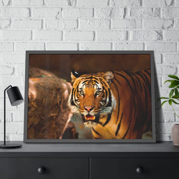 93855-199.jpg Tiger Roaring Framed Poster