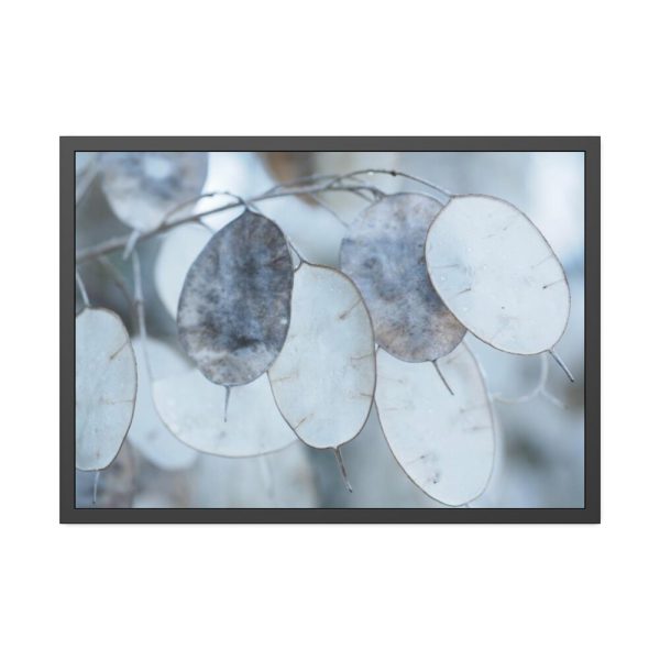 93855-496.jpg Leaves Covered in Ice Crystals Framed Poster