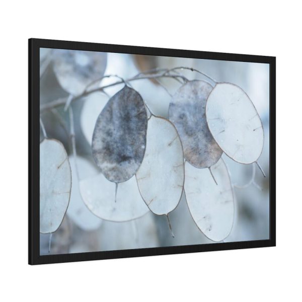93855-497.jpg Leaves Covered in Ice Crystals Framed Poster