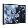 93855-505.jpg Closeup on Textured Frost Framed Poster