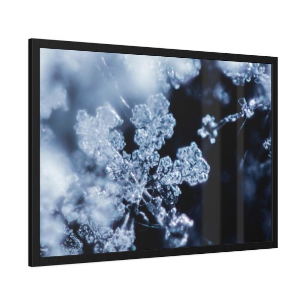 93855-505.jpg Closeup on Textured Frost Framed Poster
