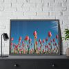 A Low-Angle Shot of a Field of Red Tulips Framed Poster