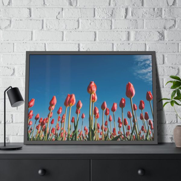 A Low-Angle Shot of a Field of Red Tulips Framed Poster