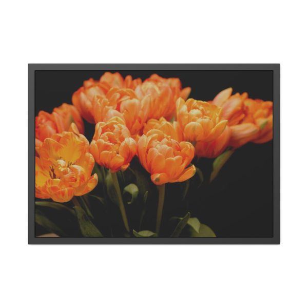 93855-544.jpg A Bouquet of Bright Orange Tulips Framed Poster