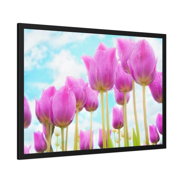 93855-577.jpg Pink Tulip Framed Poster