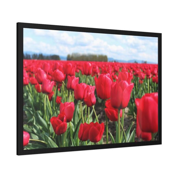 93855-581.jpg Red Tulip Field Framed Poster