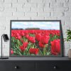 93855-583.jpg Red Tulip Field Framed Poster
